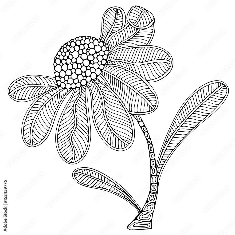 Flower in Zentangle style. Stock vector. Coloring book page. Black and ...