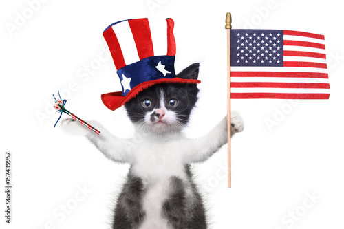 Funny Kitten Celebrating the American Holiday 4th of July