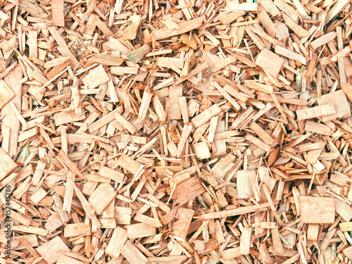 Bark wood chips background. Natural color pieces of wood splinters, backcloth © ANGHI
