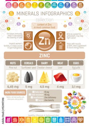 Zinc Mineral supplement rich food icons. Healthy eating flat icon set, text letter logo, isolated background. Diet Infographics chart banner poster. Table vector illustration, human health benefit