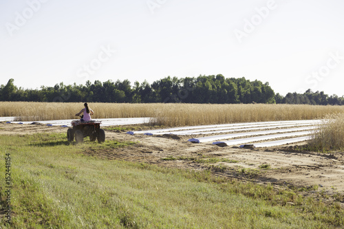 Farming