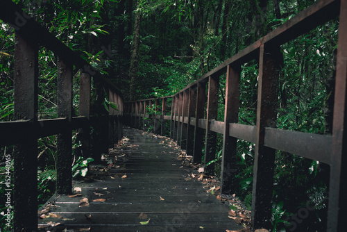 old wooden bridge path to rainforest