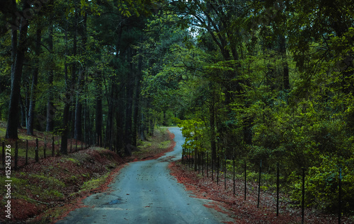A small country road in East Texas 
