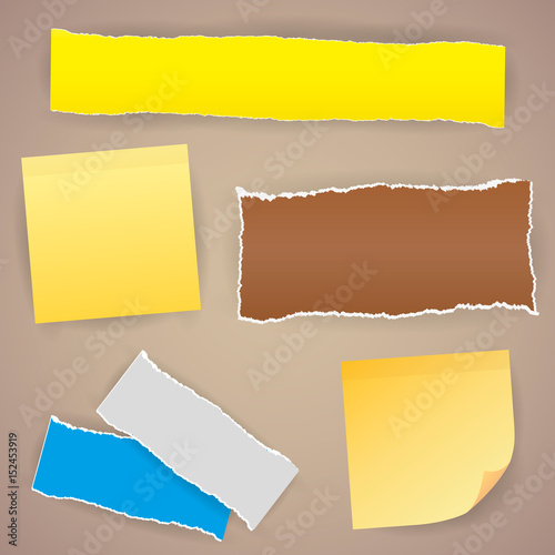 Pieces of different size ripped note, notebook, copybook sheets