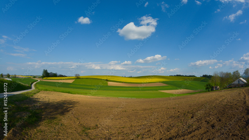 Obraz premium Złota godzina