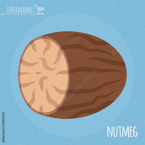 Nutmeg flat design vector icon