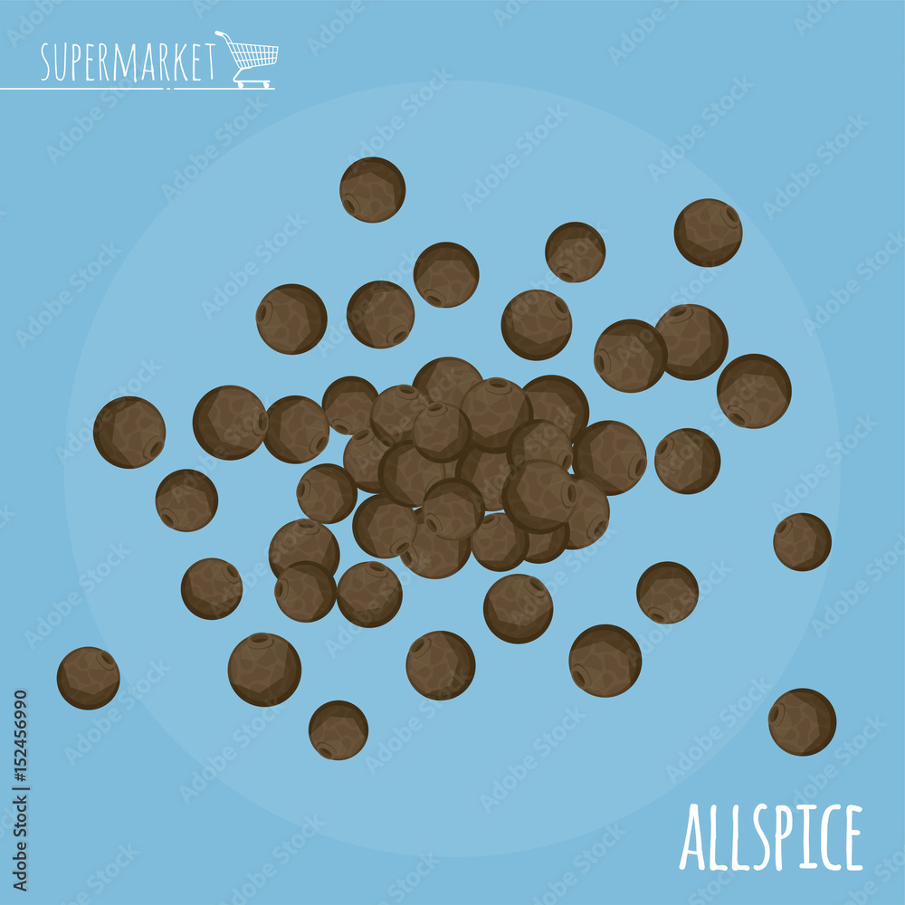 Obraz premium Allspice flat design vector icon