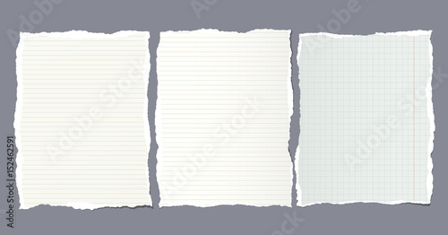 Pieces of ripped ruled, squared note, notebook, copybook paper sheets stuck on gray background.