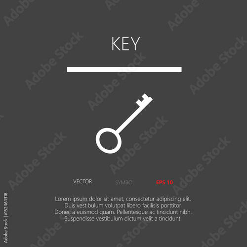 Vintage style key button web icon flat design