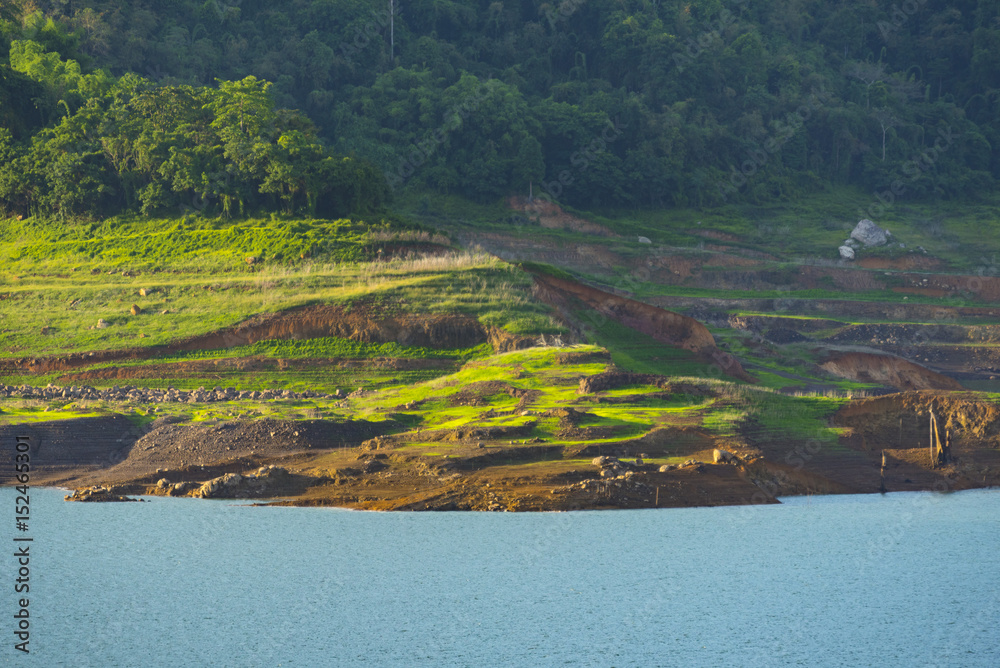 Fototapeta premium the tropical forest layers, Thailand