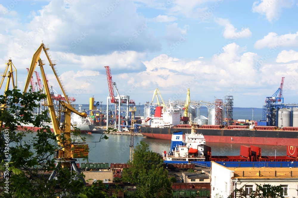 Fototapeta premium SONY DSC