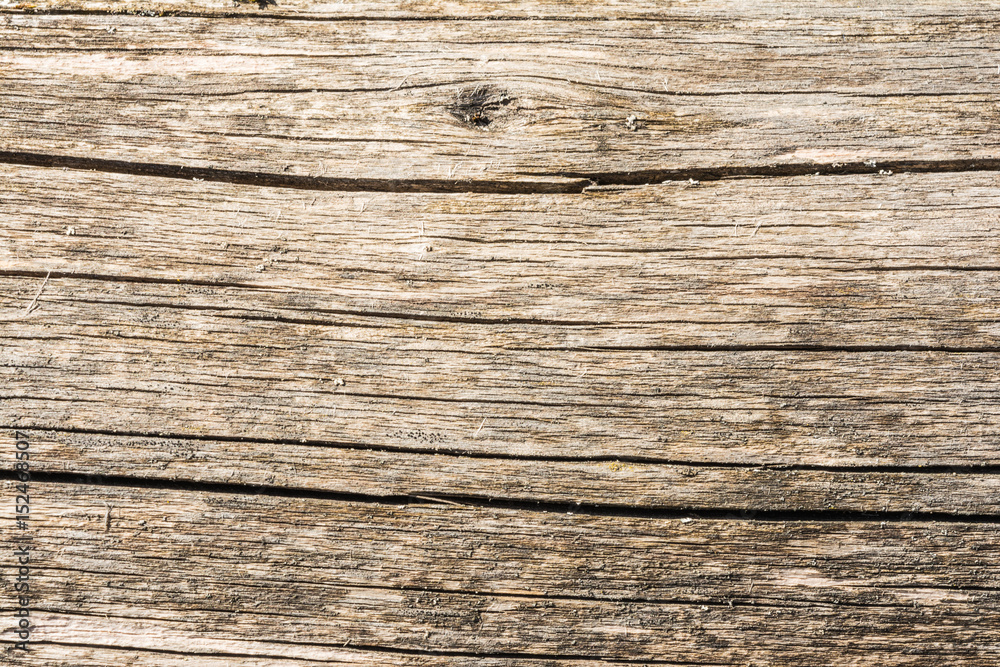 The texture of an old wooden log without bark with a lot of longitudinal cracks The texture of an old wooden log without bark with a lot of longitudinal cracks