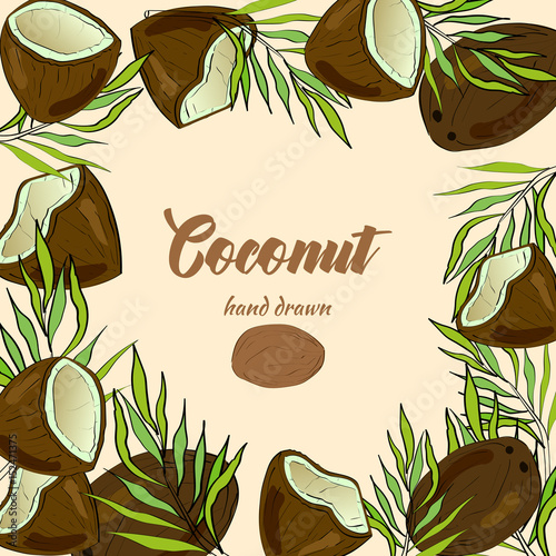 Hand drawn coconut with palm leaves. Package design.