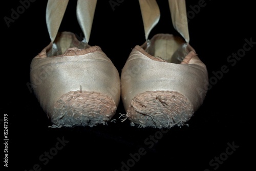 Pointe shoe