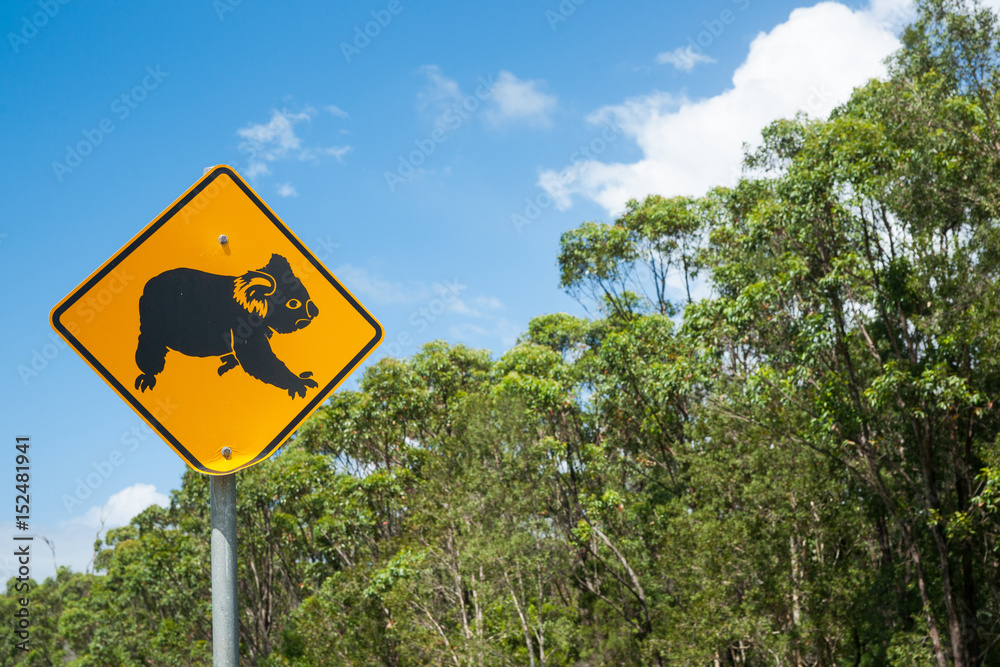 Koala bear warning sign black on yellow near country road in Australia.