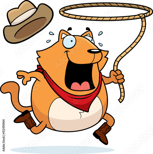 Cat Rodeo