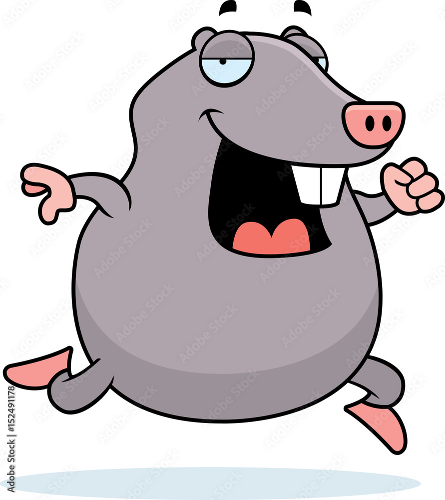 Obraz premium Mole Running