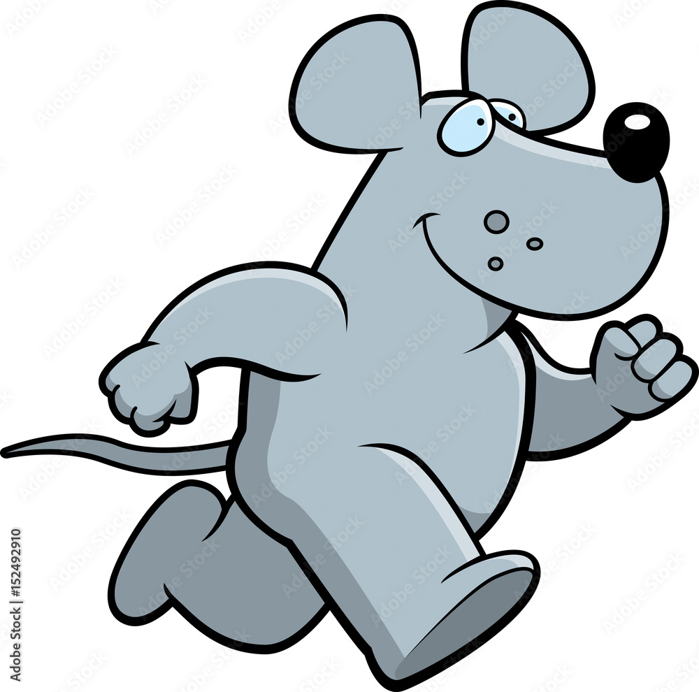 Fototapeta premium Rat Running