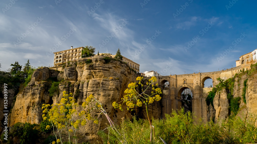 Obraz premium New bridge of Ronda, located on the Tajo de Ronda. Throat excavated by the Rio Guadalevín.
