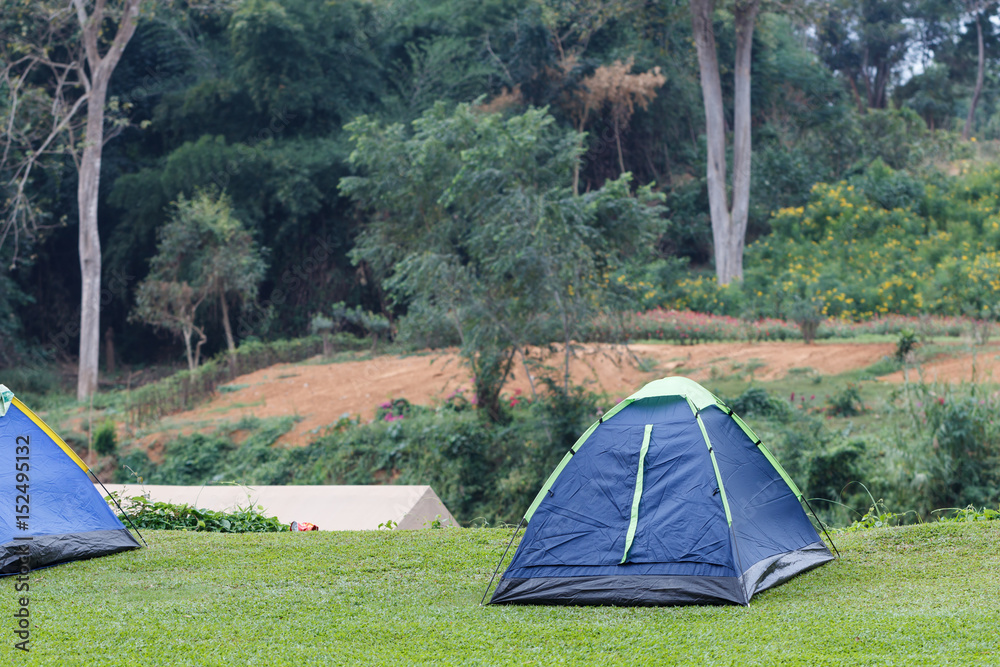 Tourist tent in green forest camp