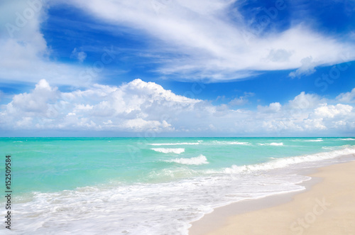 Miami tropical beach, blue sky and ocean, Florida, USA © ellensmile