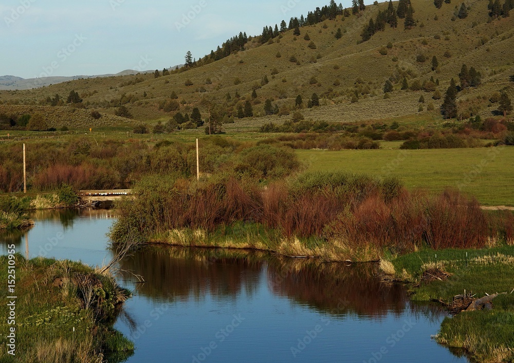 A creek with lots of bushes on its banks winds under a small bridge on the edge of farmland and green hills in Eastern Oregon on a sunny Spring day. 