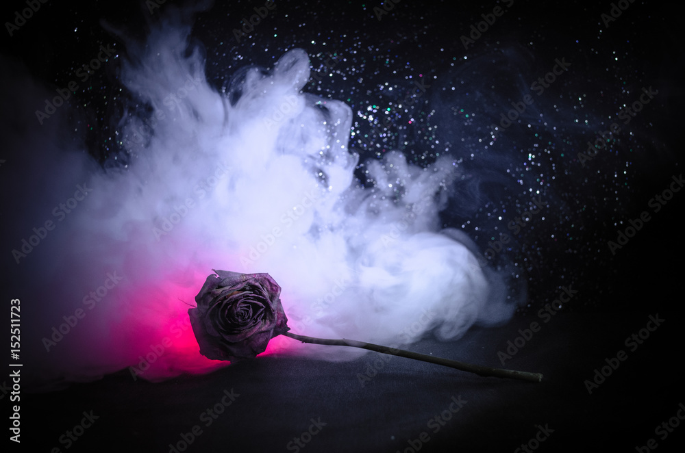 A wilting rose signifies lost love, divorce, or a bad relationship, dead rose on dark background - obrazy, fototapety, plakaty 