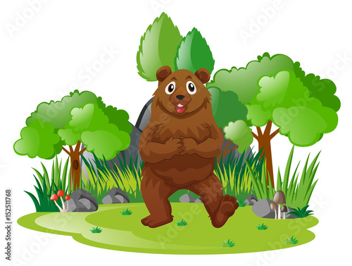 Fototapeta Naklejka Na Ścianę i Meble -  Brown bear in the forest