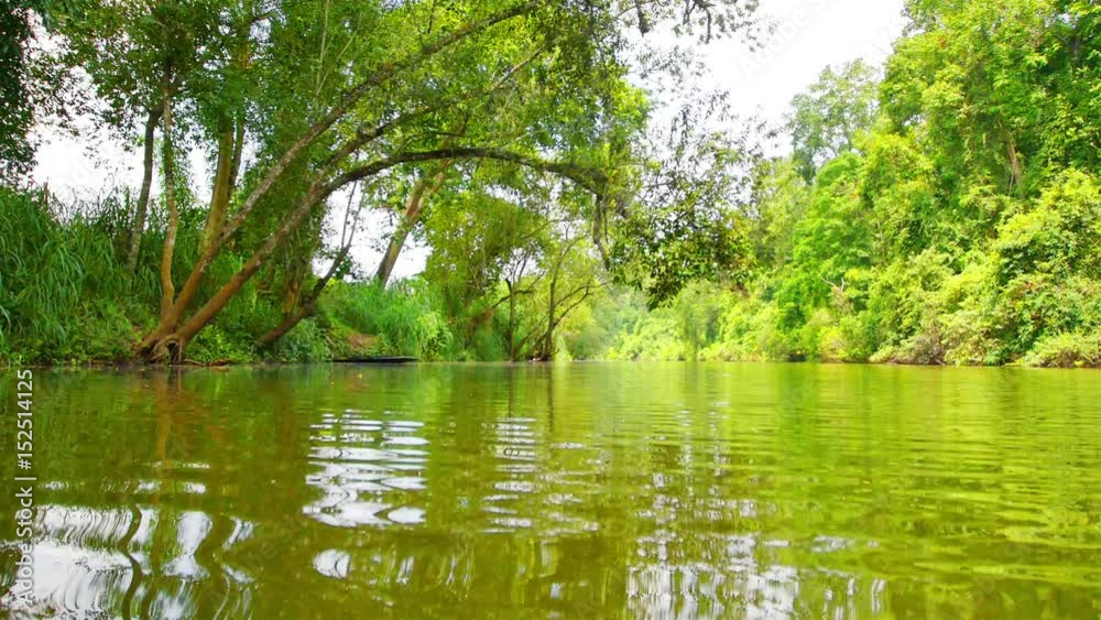 Sailing in a small canal in the countryside. Asia's tropical forests Sailing in a small canal in the countryside. Asia's tropical forests