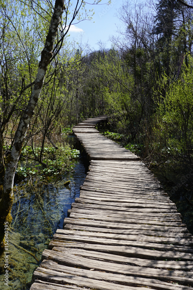 Curved timber walkway in Plitvice national park Curved timber walkway in Plitvice national park