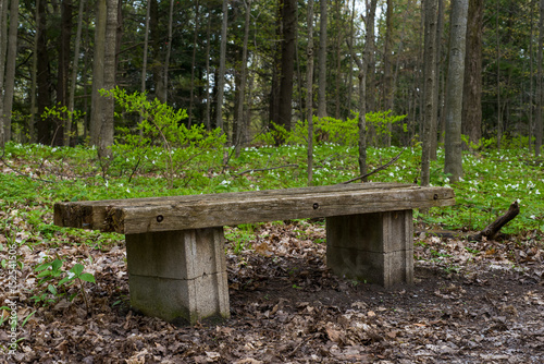 Old wooden bench and trilium flowers © Les Palenik