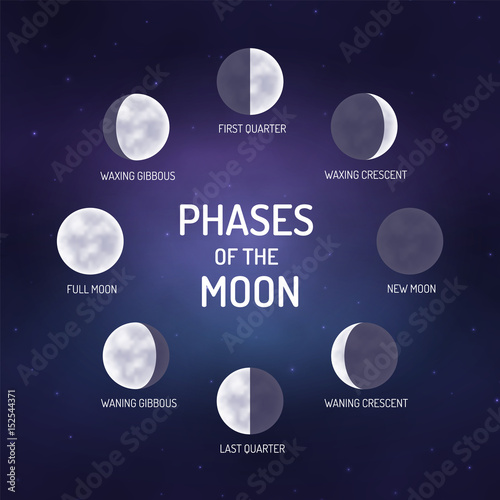 Phases of the moon. Educational poster for school. Vector illustration.