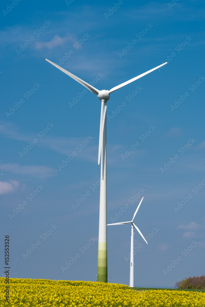 Wind-turbines in a blooming rapeseed field seen in Germany Wind-turbines in a blooming rapeseed field seen in Germany