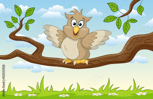 Illustration of an cartoon owl on a branch