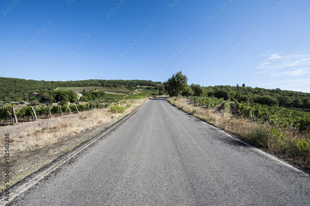  Road between Vineyards