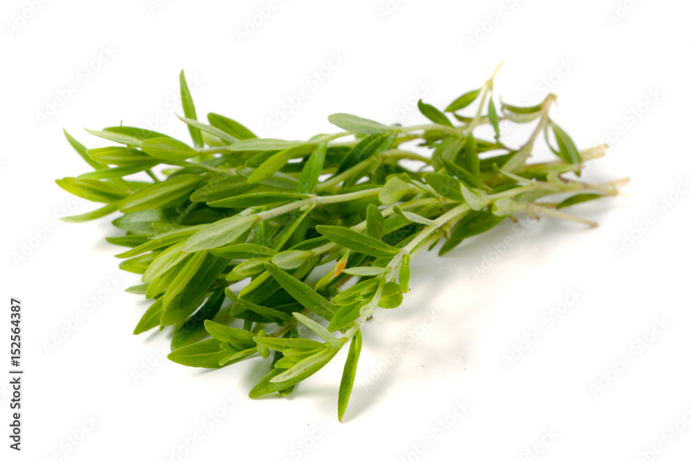 Thyme fresh herb isolated on white background Thyme fresh herb isolated on white background