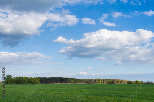 faraway forest behind a field of green grass under a beautiful cloudy sky on a sunny spring day © NRoytman Photography