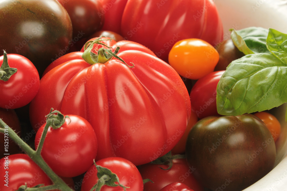 verschiedene bunte Tomaten Sorten Arten Hintergrund rot gelb grün