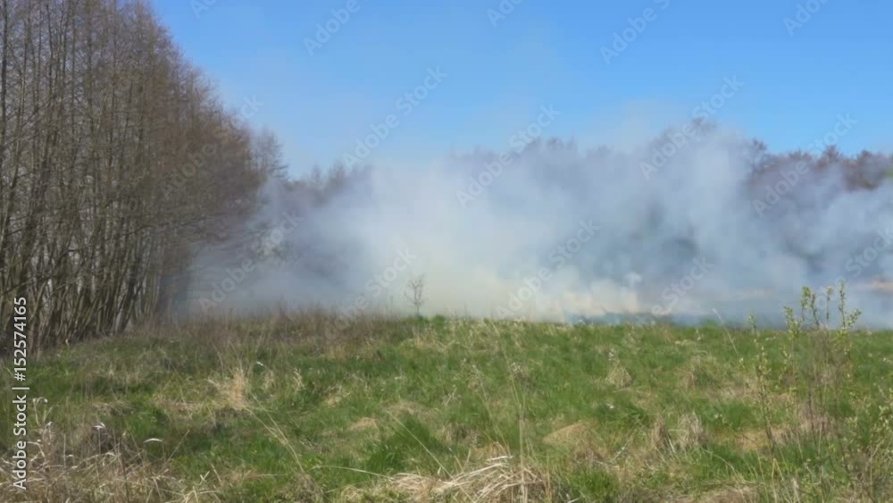 Fire situation in Europe region in spring. Burning dry grass near forest. Burning peat on a peat bog. Drought in nature. Global warming. Fire situation in Europe region in spring. Burning dry grass near forest. Burning peat on a peat bog. Drought in nature. Global warming.