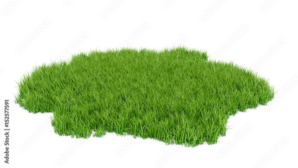 3D Rendering green grass field isolated on white background - obrazy, fototapety, plakaty 