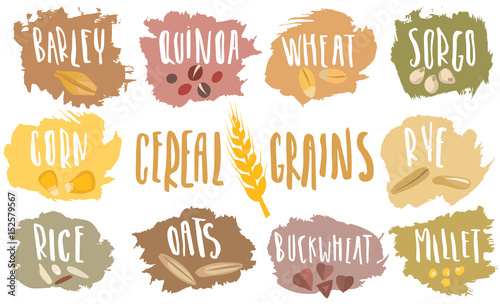 Vector set of cereal emblems with white handwritten lettering and hand-drawn stylized grains. For packing groats, advertising healthy food.