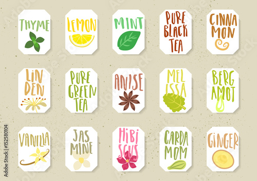 Vector set of trendy paper tags for tea packing. Various natural organic additives for drinks with handwritten annotation and sketches of plants.