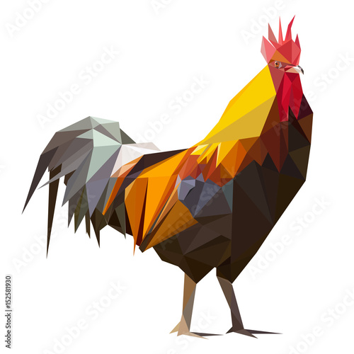 Geometric, low poly, rooster vector 