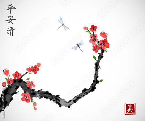 Cherry sakura tree branch in blossom and two dragonflies on white background. Traditional oriental ink painting sumi-e, u-sin, go-hua. Contains hieroglyphs - peace, tranquility, clarity, beauty