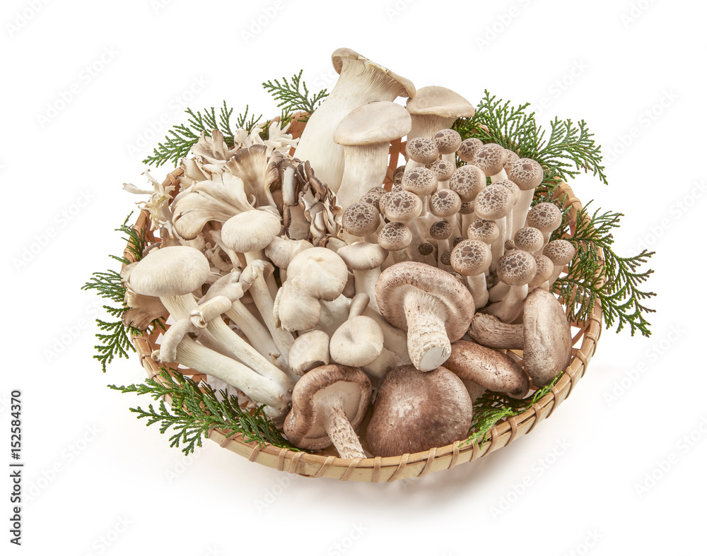 きのこ 椎茸 しめじ 舞茸 エリンギ あわび茸 盛り合せ 影イキ 背景白飛ばし Stock Photo Adobe Stock