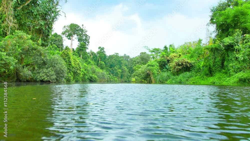 Sailing in a small canal in the countryside. Asia's tropical forests Sailing in a small canal in the countryside. Asia's tropical forests