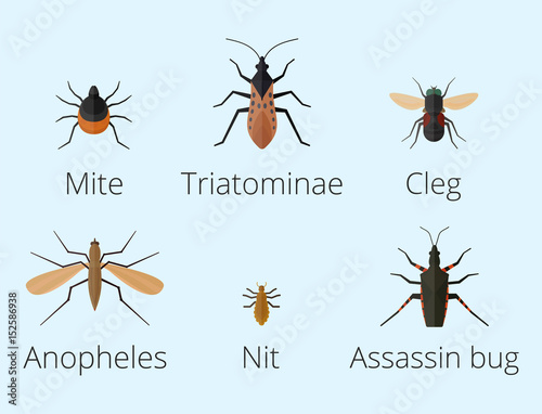 Colorful insects icons isolated wildlife wing detail summer worm caterpillar bugs wild vector illustration.
