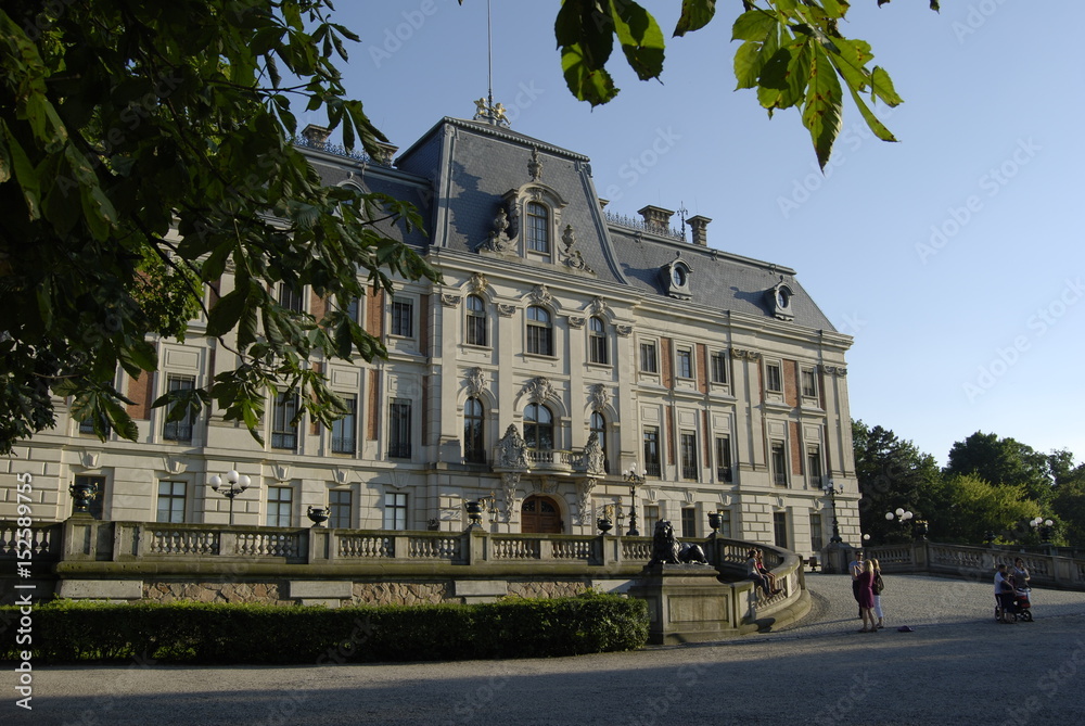 Fototapeta premium Pszczyna, Palac 1874 r.