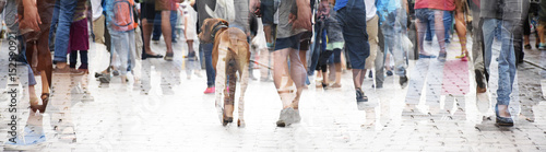 City walk, double exposure of a large crowd of people and a dog, abstract panorama bannerfor website header photo