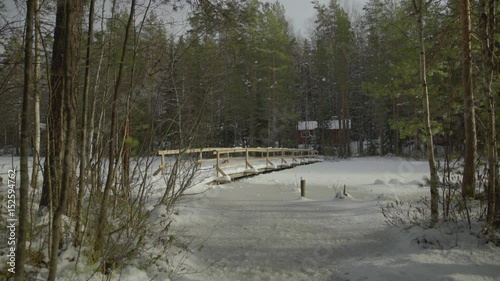 Forest lake on sunny spring day